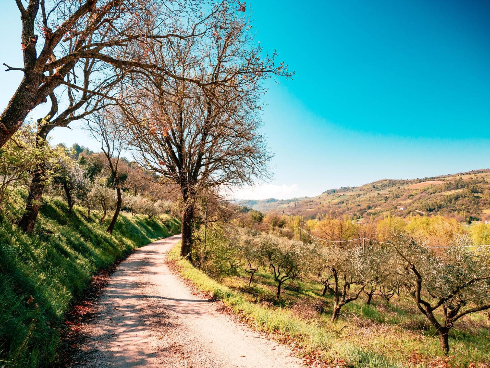 Ostello Bello Assisi Bevagna ภายนอก รูปภาพ